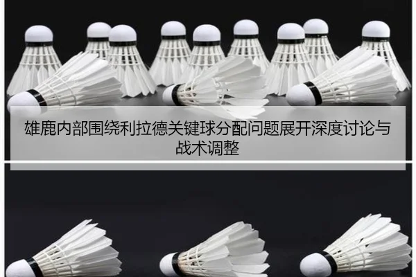 雄鹿内部围绕利拉德关键球分配问题展开深度讨论与战术调整